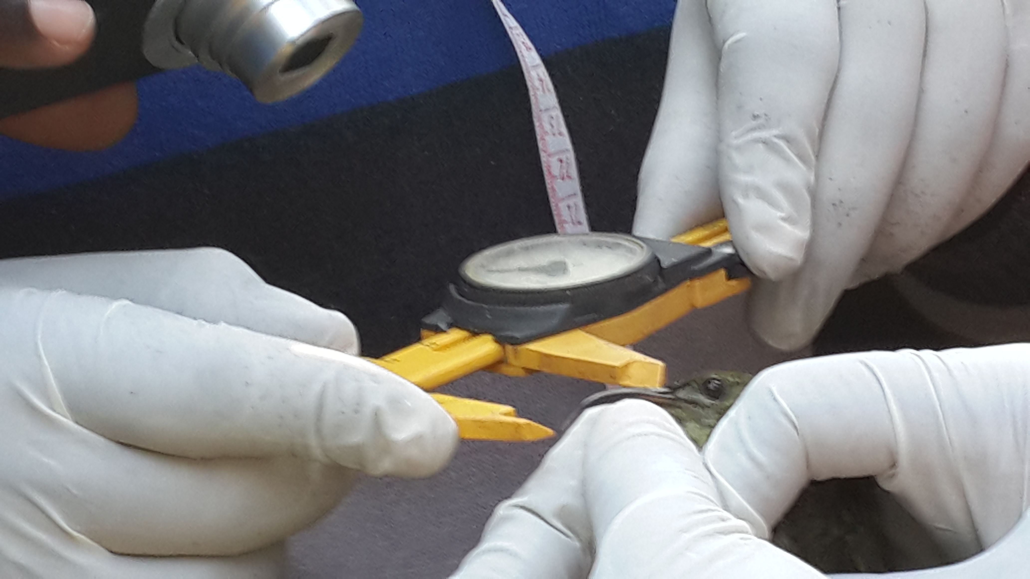 Science driven field work image 14